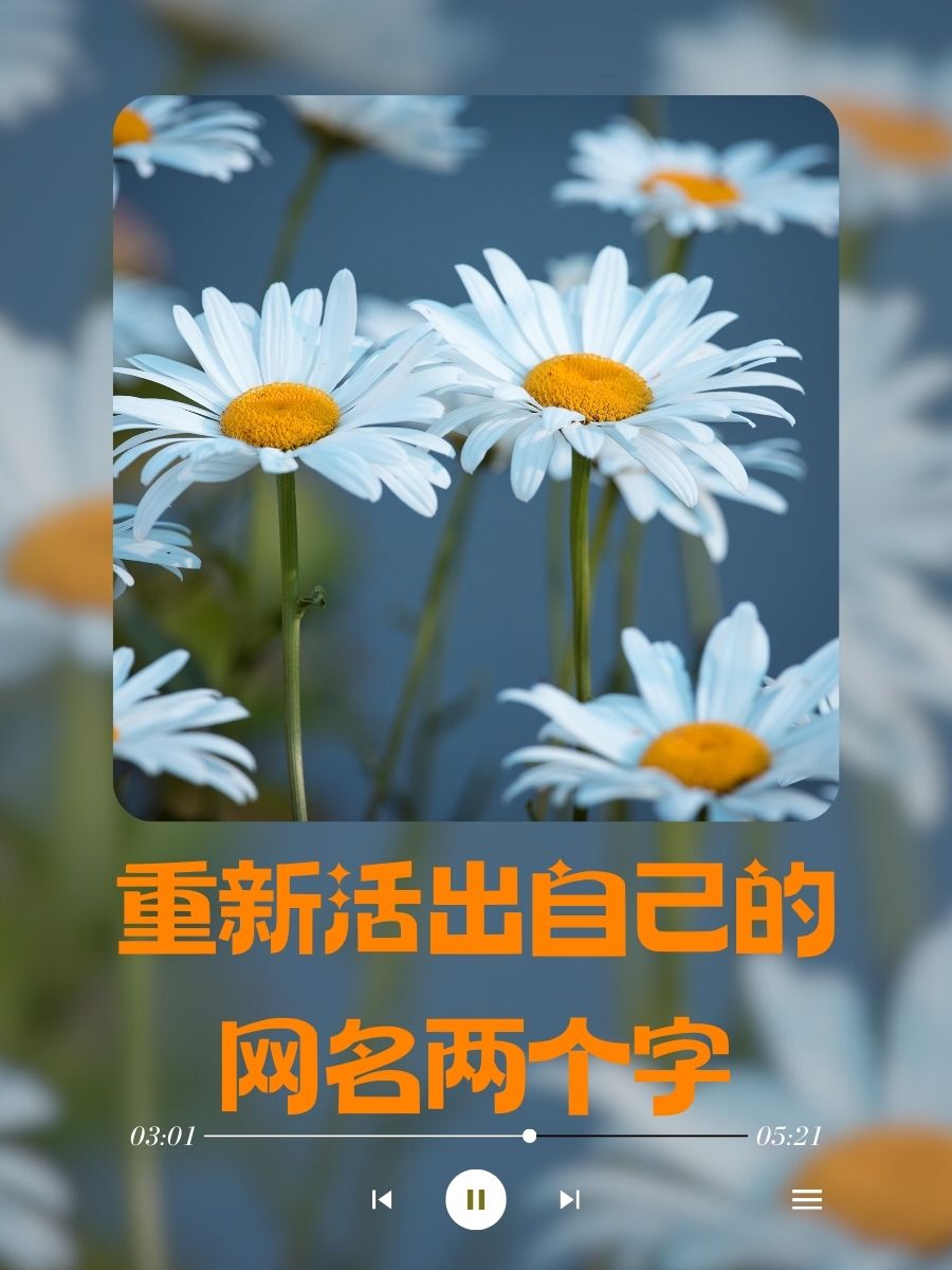重新活出自己的网名两个字  重生  真我  涅槃  初心   焕新  启程