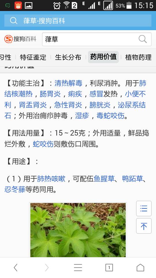 我想知道这种草叫什么!有什么药用价值?