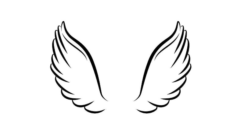 而这个名字不仅仅是有汉字组成,他还有好多特殊符号,其中翅膀就是一个