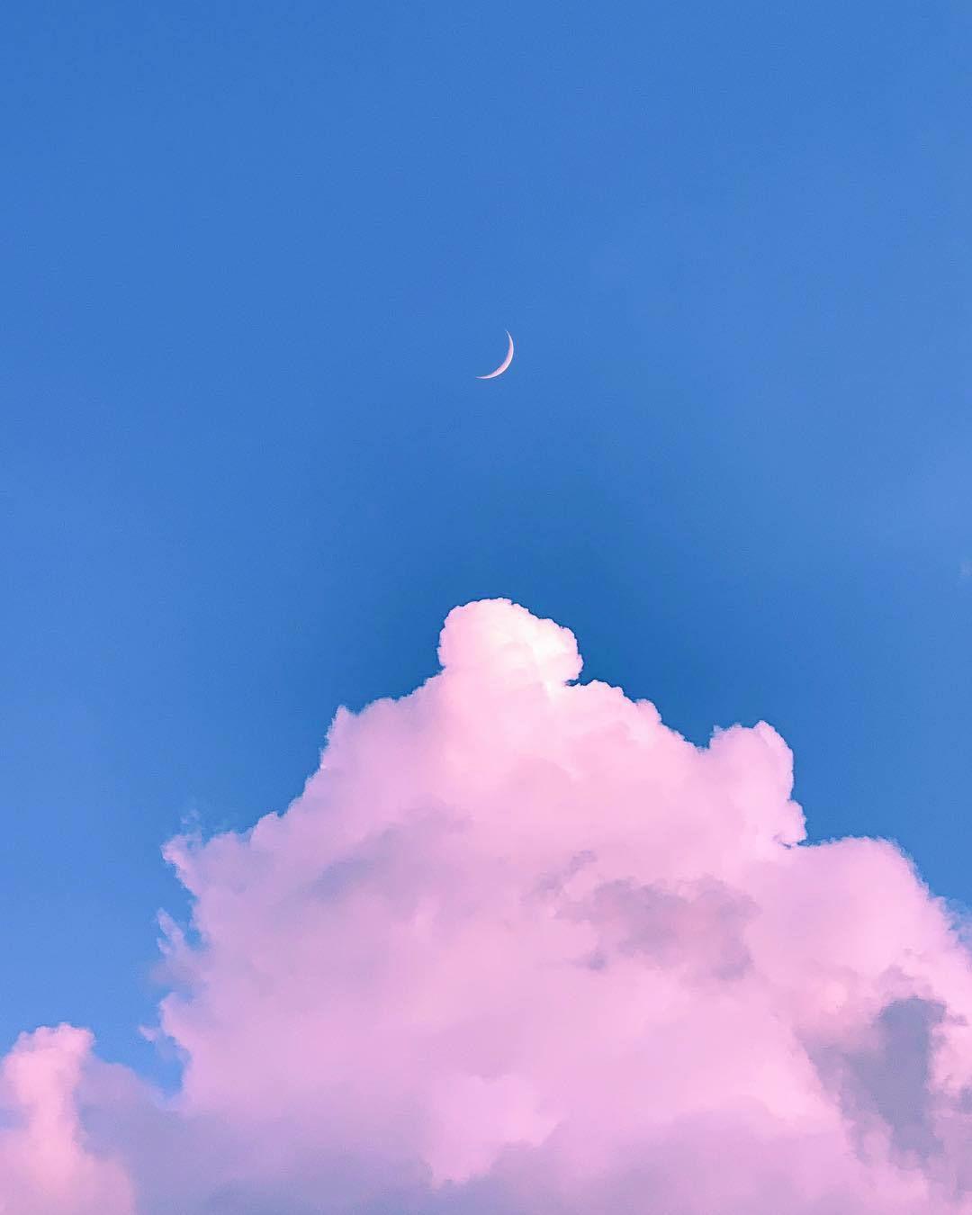 你们的手机壁纸微信头像聊天背景朋友圈相册封面都是什么有什么理由