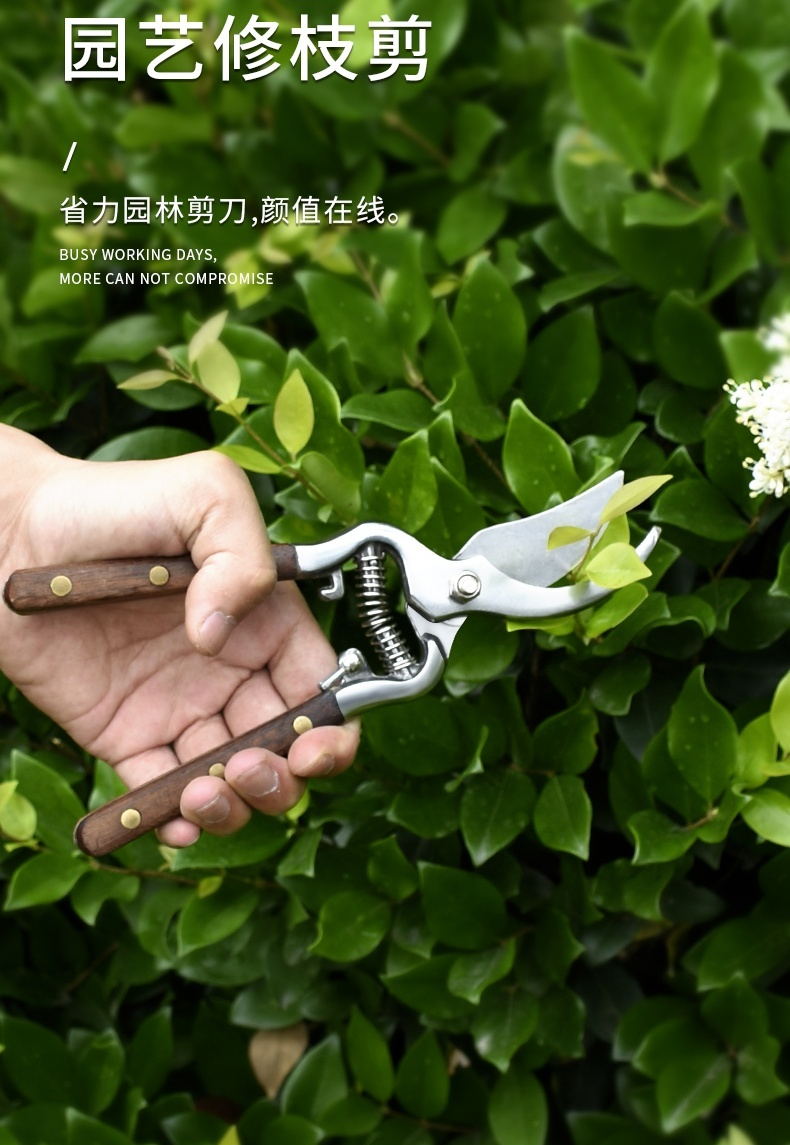 剪枝果树修枝剪刀园艺修剪树枝园林省力修剪家用工具剪子神器虎雀