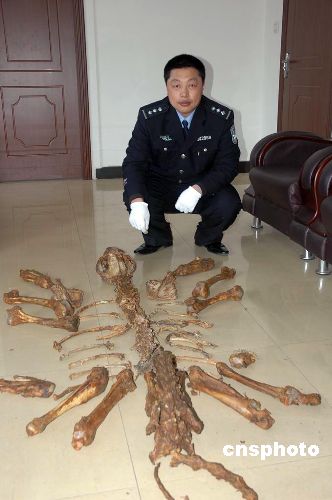 林业局称中国已禁止虎骨利用相关申请皆未批准