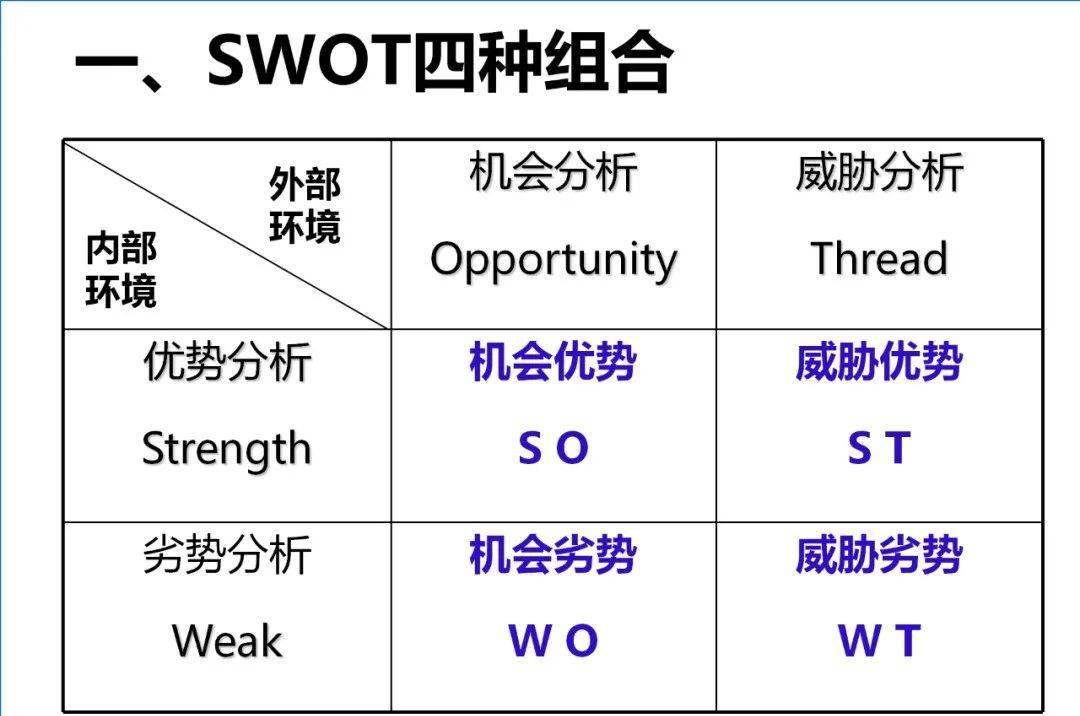 swot分析与案例模型精编版