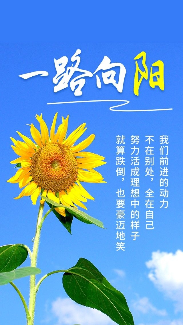 一路向阳,是对过去努力的总结;一路向阳,是对未来自由的期盼.