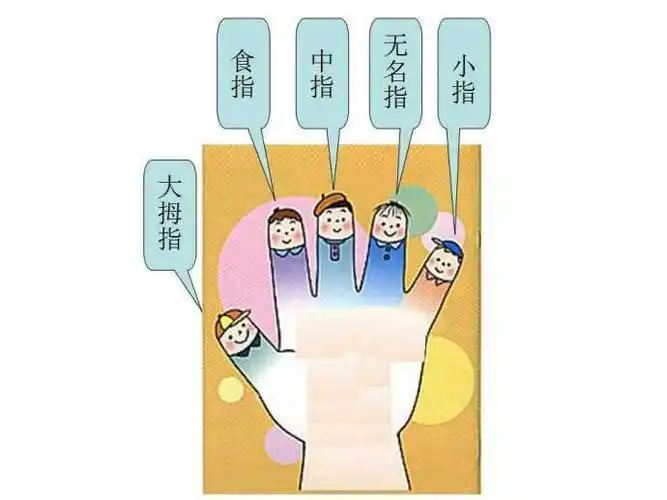 小朋友我们一起来认识小手指吧!