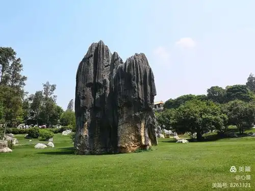 远看大石头 近看石头大