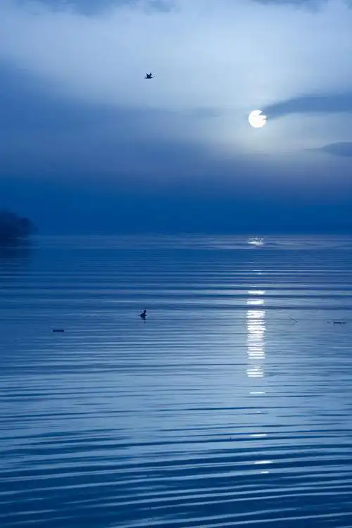 一弯月色,美如画