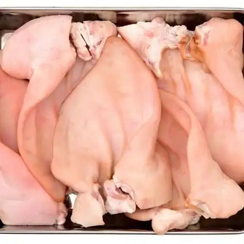 新鲜冷冻猪耳朵生猪耳朵无耳朵饭店食堂快餐食材5斤20斤装鲜露哒20斤