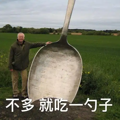 不多就吃一勺子表情包 - 表情图