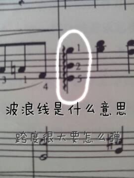 【钢琴高手看过来】钢琴谱中的波浪线是什么 跨度很大要怎么弹