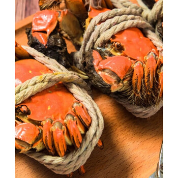 苏州大闸蟹鲜活水产螃蟹全母45两8只礼盒阳澄湖镇发货