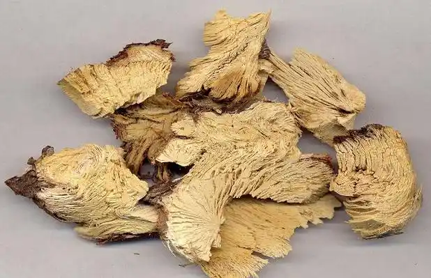 麻黄根的功效与作用