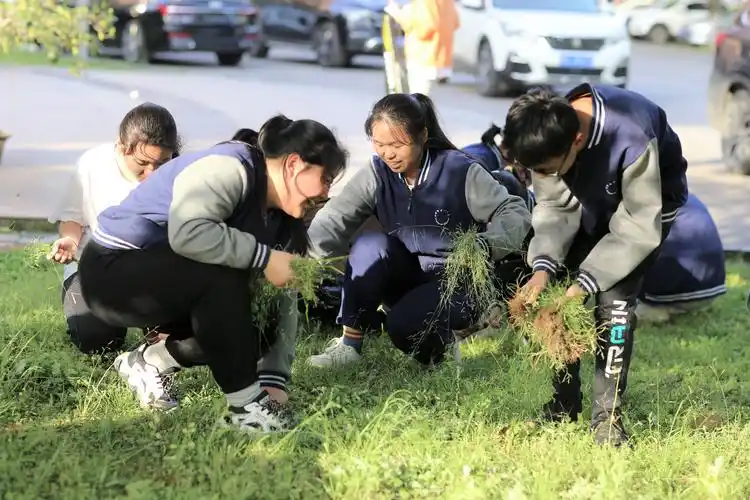 拔草护绿美化校园
