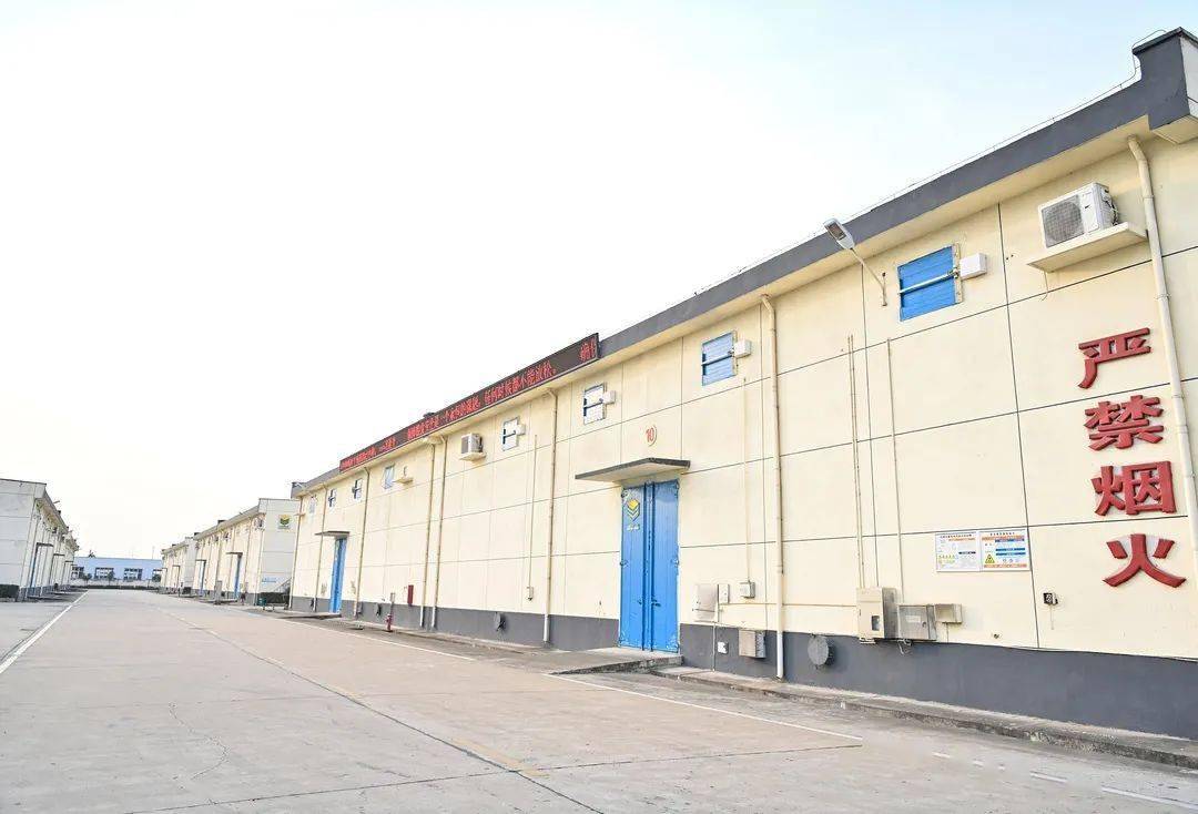 针对粮食安全苏伟强调