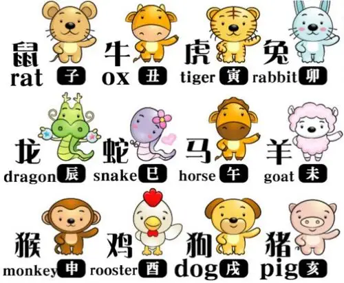 十二生肖与二十四节气趣味认知 东华小学交响校区二(2)中队