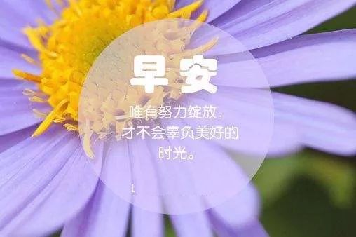 早安图片唯美带字