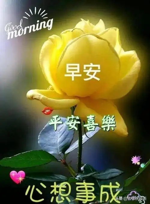 祝福语四字新的一天美美的早安祝福语图片微信带字早上好祝福语录表情
