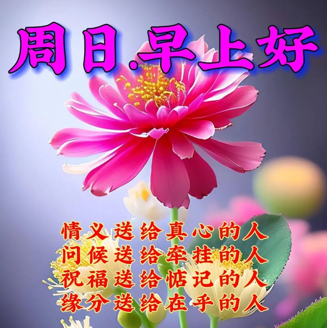8月13日周日早上好,早安祝福语图片带字_心情_活力_阳光