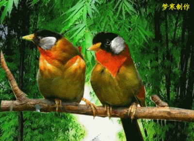 400_291gif 动态图 动图