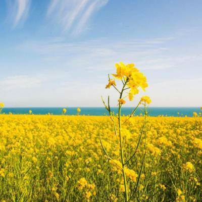 2021最美风景头像高清好看的2021最美微信风景图片