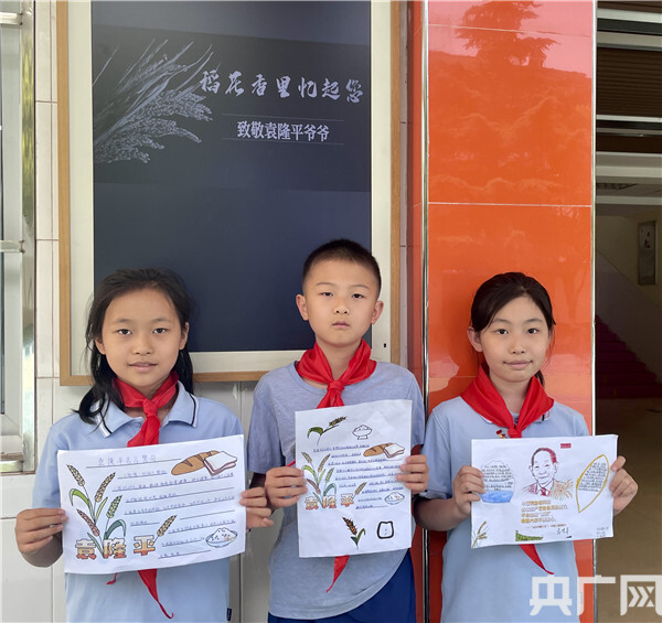 致敬稻田守望者永做时代追梦人伏牛路小学少先队员深切缅怀袁隆平爷爷