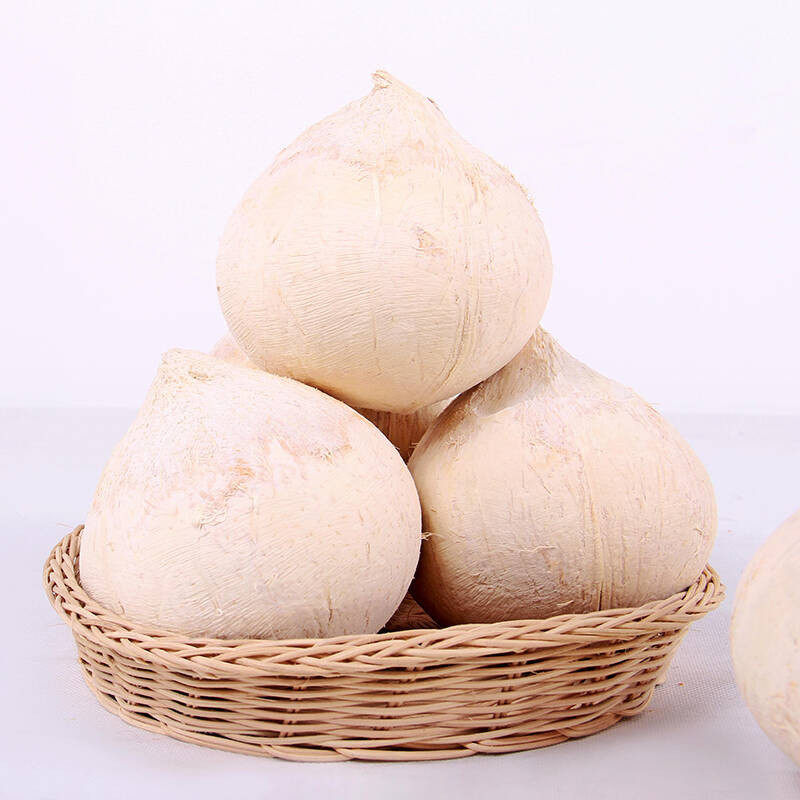 泰国牛奶白椰皇进口椰子新鲜水果包邮整箱当季椰青