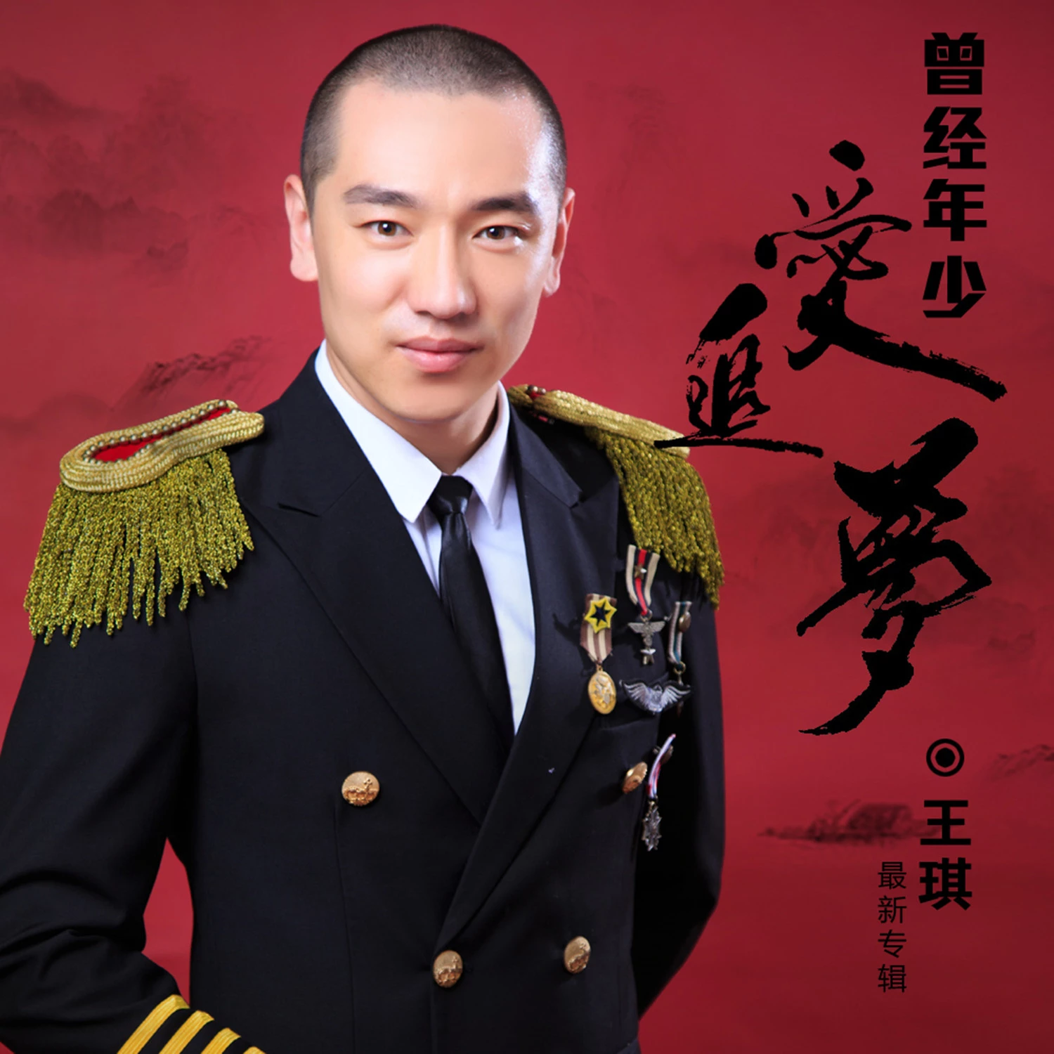 王琪_高音质在线试听_曾经年少爱追梦歌词