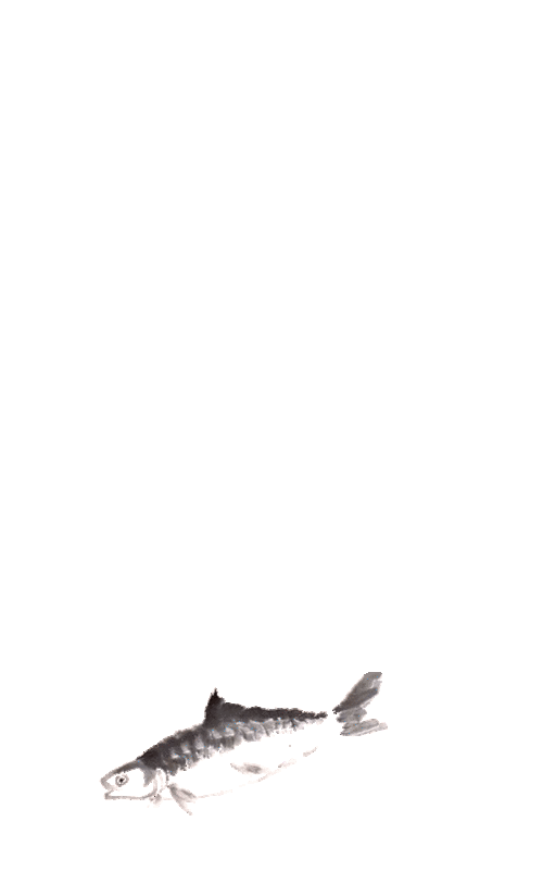 640_1040竖版 竖屏gif 动态图 动图