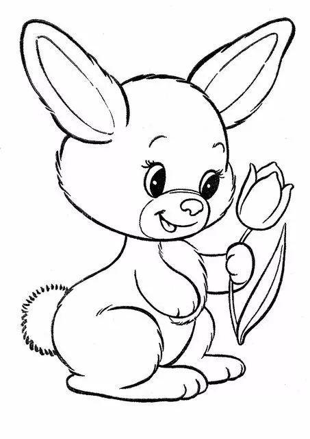 50例动物简笔画高清线稿资料