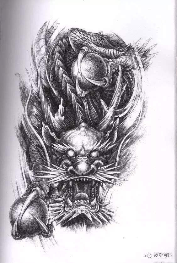 龙纹身手稿