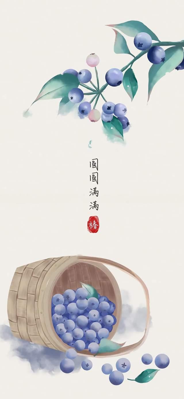 一组清新简约中国风水果插画