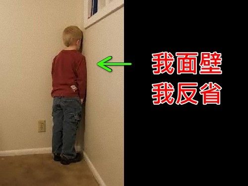 小主人犯错面壁,喵星人跟着思过!