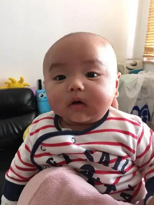 林子聪爱子曝光 圆脸跟爹一个样