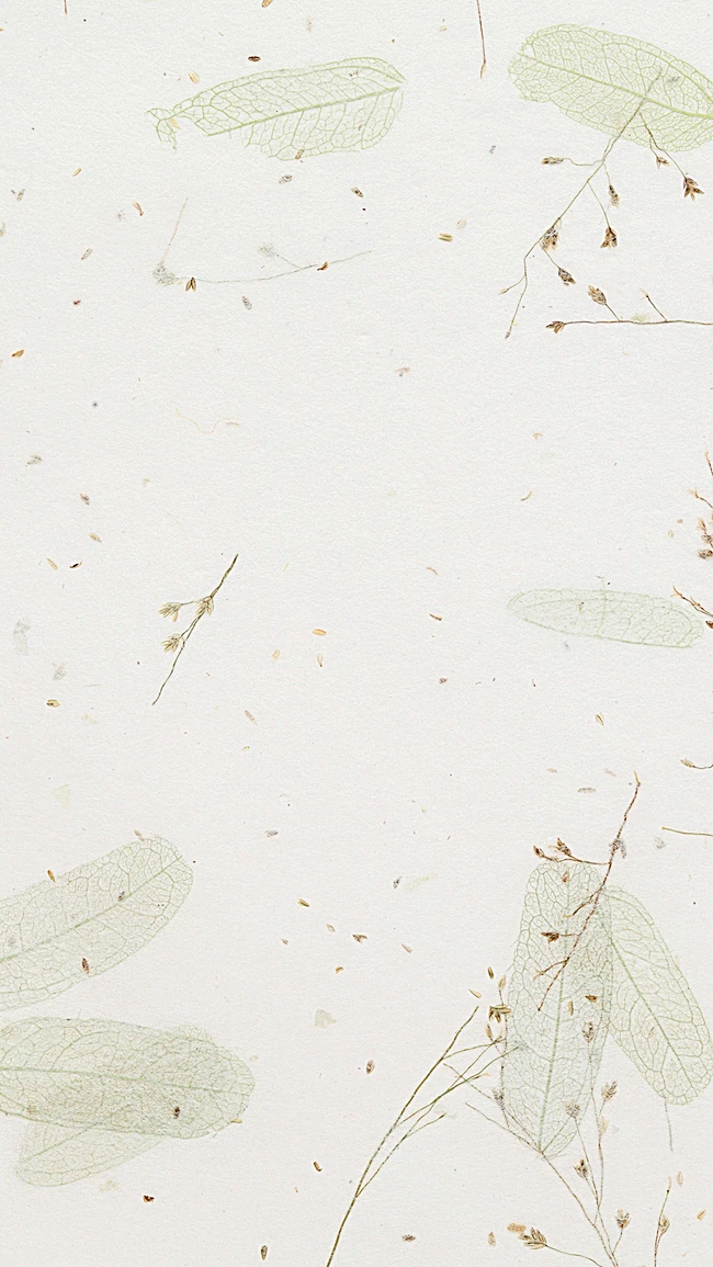 淡雅小清新h5背景