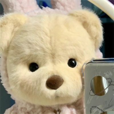 宠物情侣头像超萌一对一左一右可爱高质量动物情侣头像双人