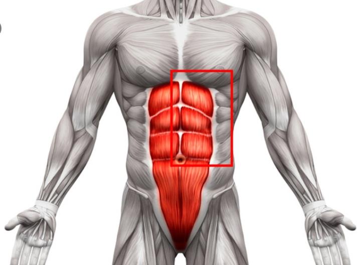 皇马官方:阿扎尔腹部左前直肌肌肉受伤;预计伤缺4-6周