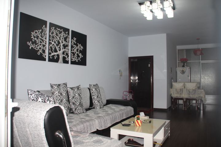 我家的客厅 第 1 幅