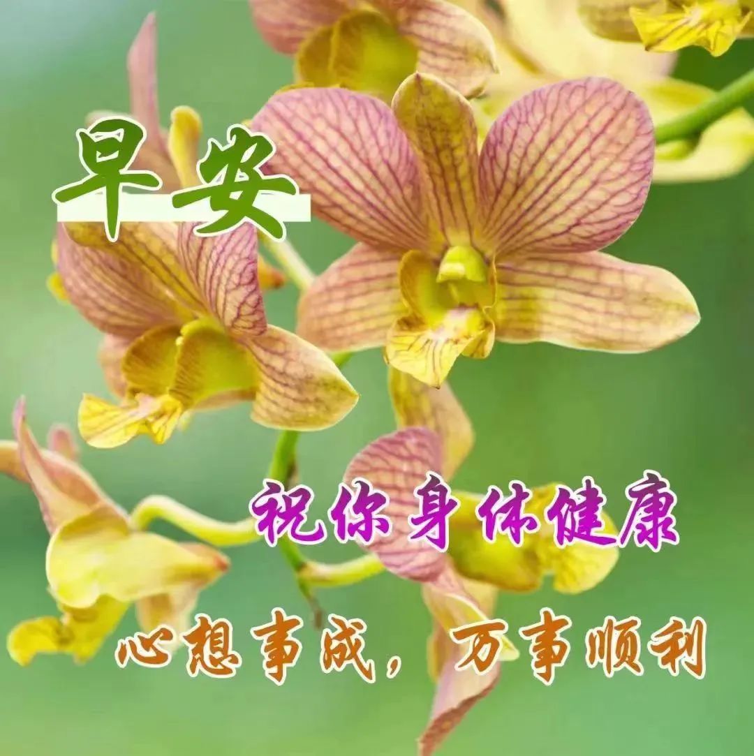 9张冬天清晨创意唯美亲人朋友早上好祝福语图片大全 冬日清晨友谊早安