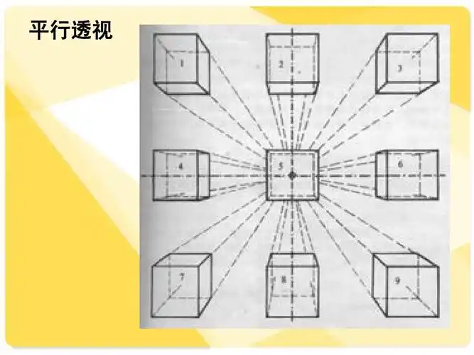 素描透视规律ppt