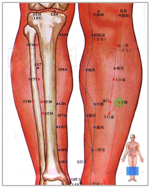 从下往上触摸小腿的外侧,左膝盖的膝盖骨下面,可摸到凸块(胫骨外侧髁)