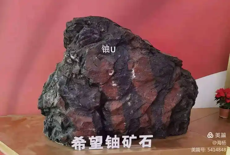 当年开采的希望铀矿石