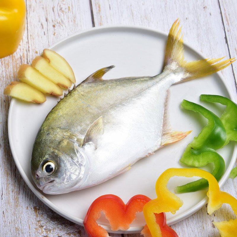 新鲜海捕金鲳鱼3条装(350-450g/条)【图片 价格