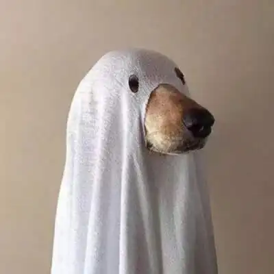 沙雕单人头像搞笑