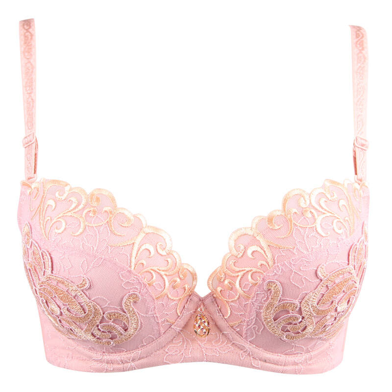 莎莲妮2016春夏新款奢华刺绣深v聚拢文胸 小胸厚模杯ab杯内衣sa5101