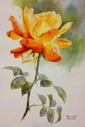 【美术欣赏】水彩笔下的花朵,很美,很艳!