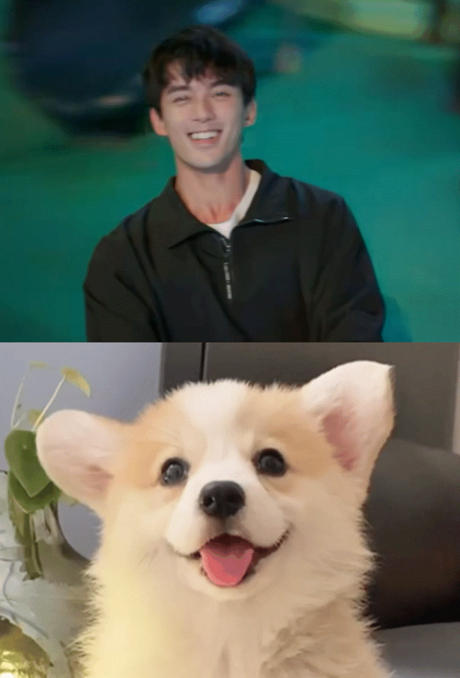 吴磊新剧是治愈小狗##宋三川人模狗狗样