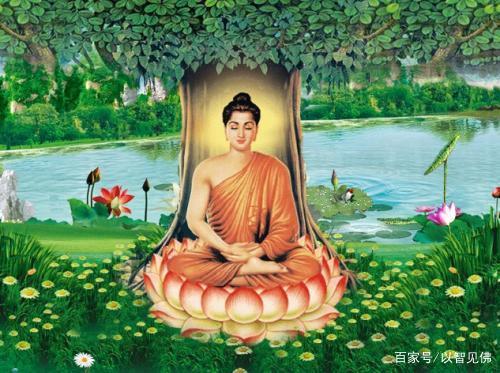 打坐 才是佛陀在菩提树下的觉悟