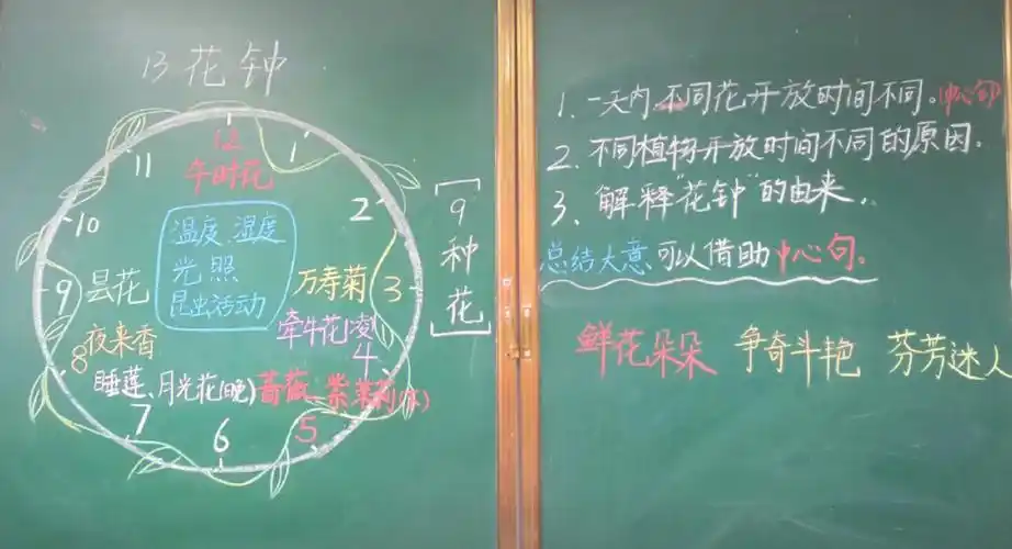 三下语文花钟板书