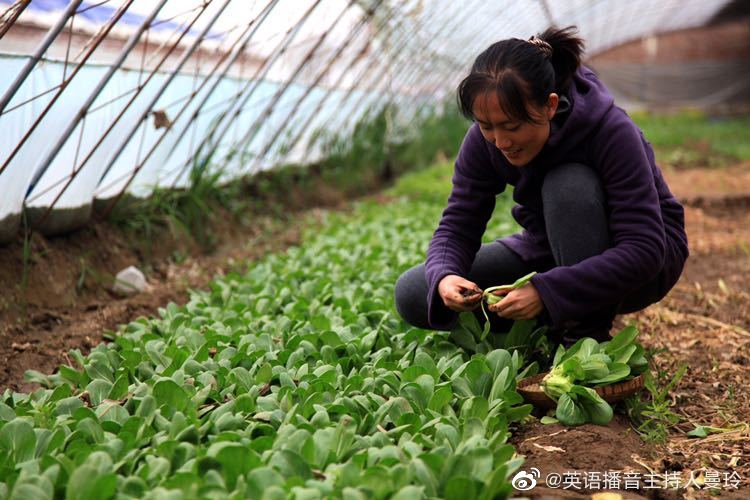 新农人的新理念在悄悄改变我们