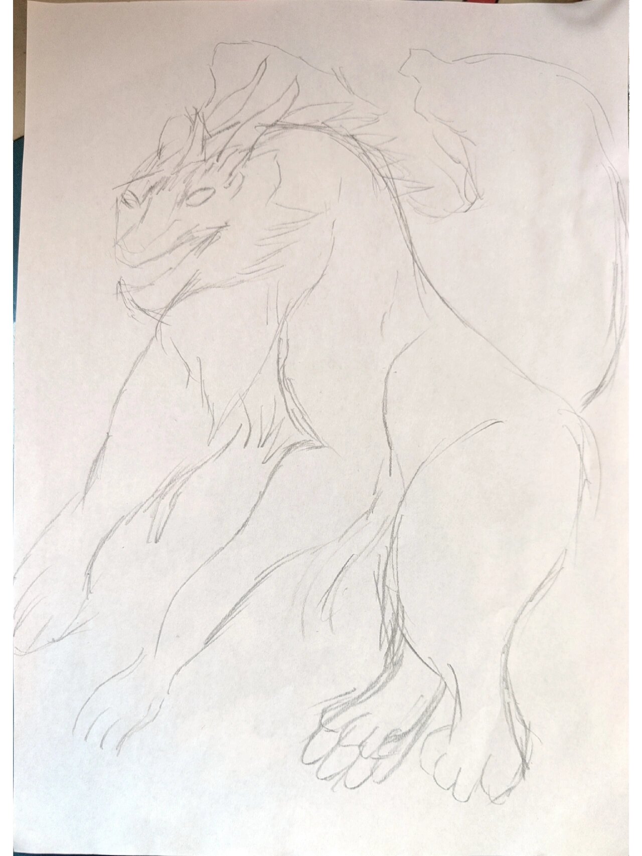 穷奇手绘(不喜勿喷)